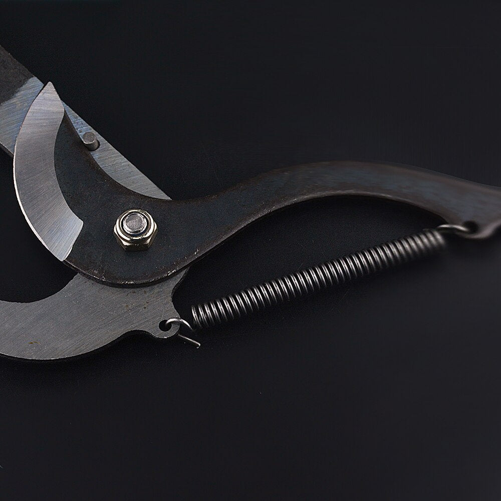 High-Altitude Extension Pruning Shears - detail