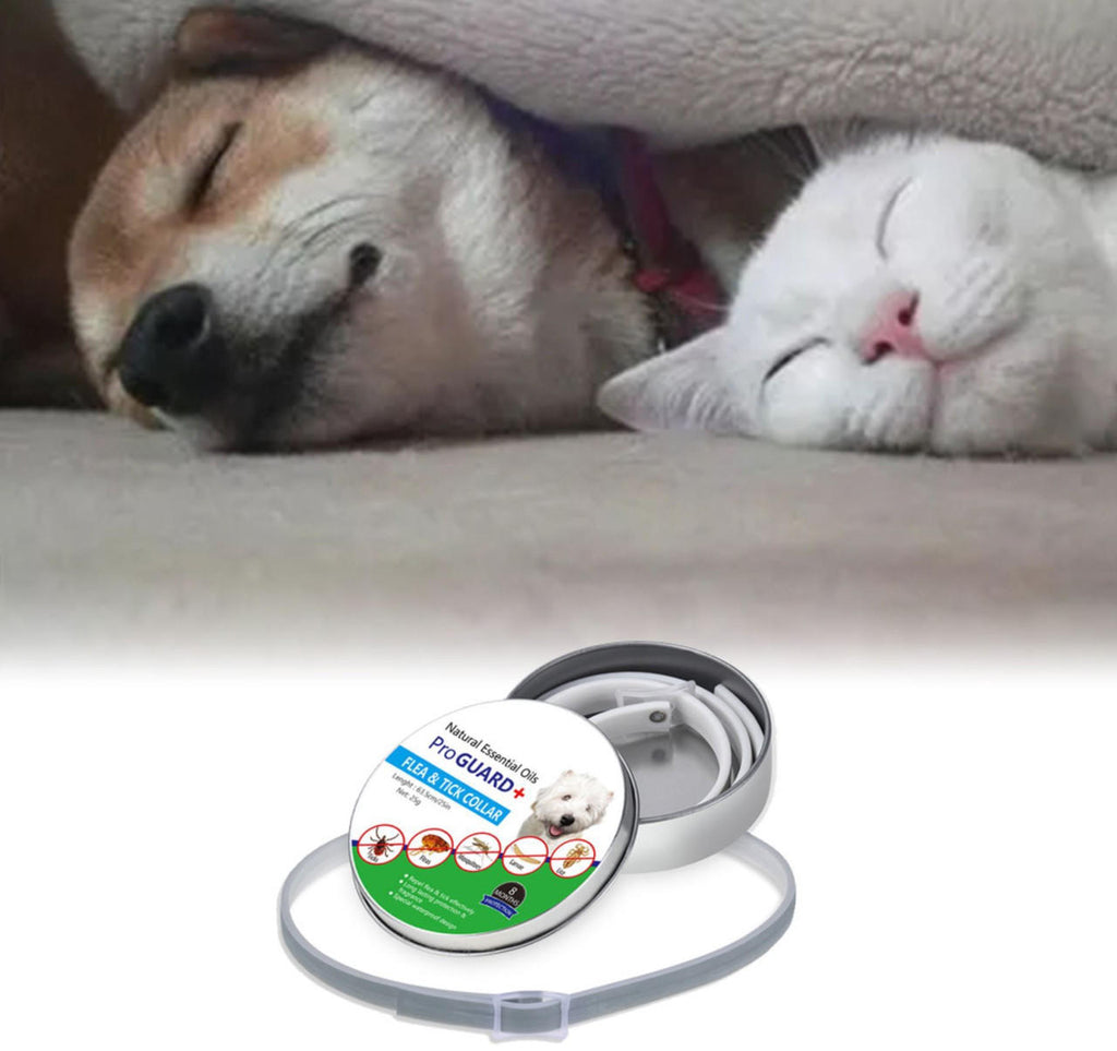 Dog Pest Collar - detail