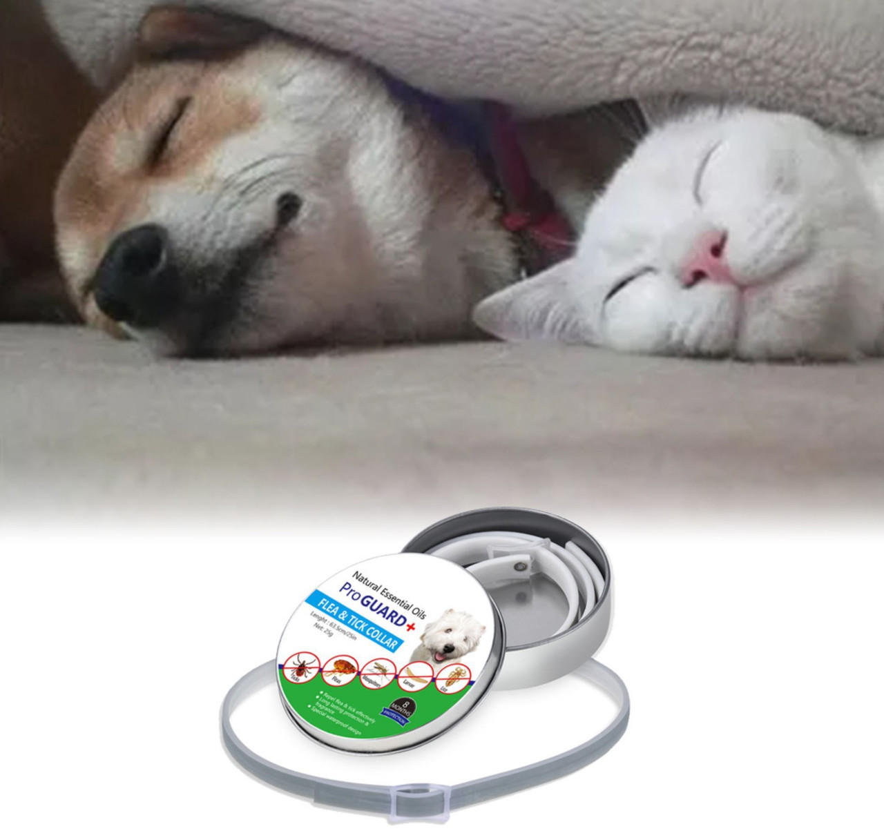 Dog Pest Collar - detail