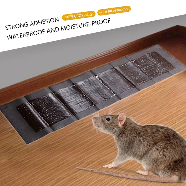 5-Pack Extra-Large Glue Trap Boards for Mice and Rats | Puchica - in use