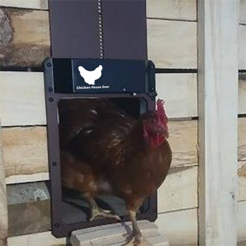 Automatic Chicken Coop Door Opener - Chicken Coop With Light Sensor - alternate angle