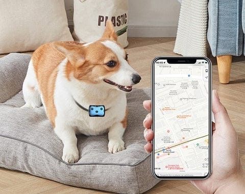 GPS Tracker for Dogs | Location Collar - alternate angle