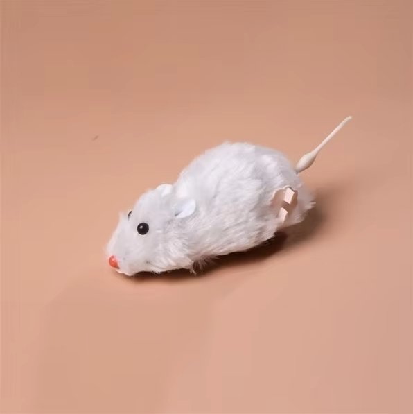Electric Cat Toy Mouse - Interactive Racing Mouse For Hunting Fun - in use