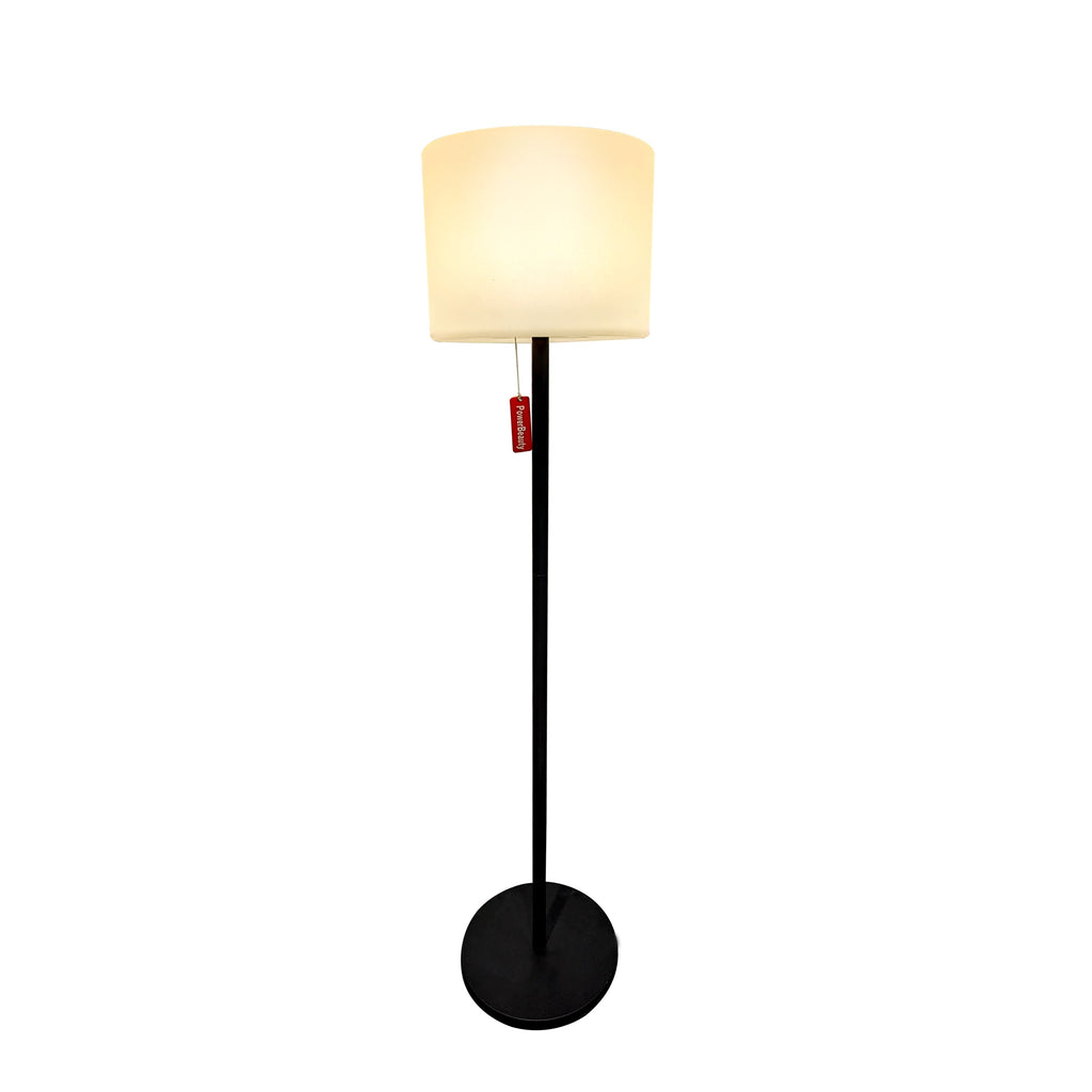 Rechargeable LED Floor Lamp, Rechargeable
