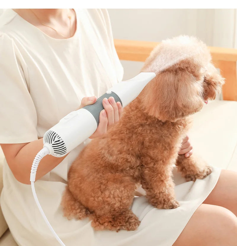 3-in-1 Dog Hair Dryer, Slicker Brush & Grooming Tool