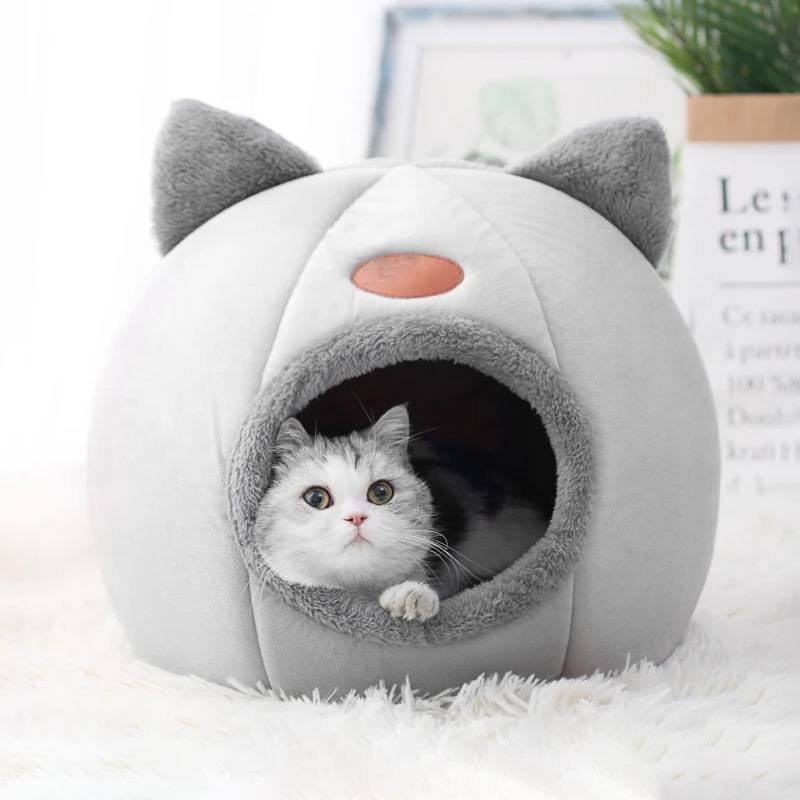 Cat Cave - alternate angle