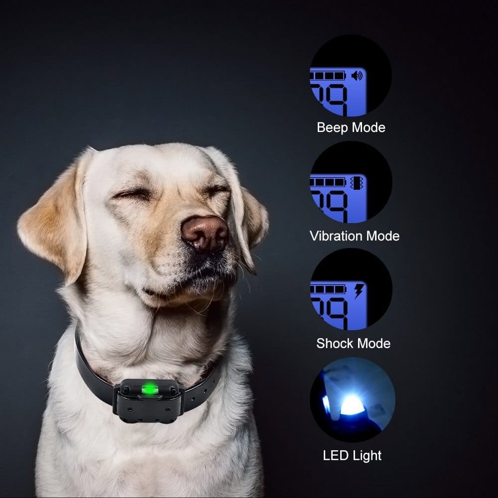 Electric dog training collar 800M Range - detail