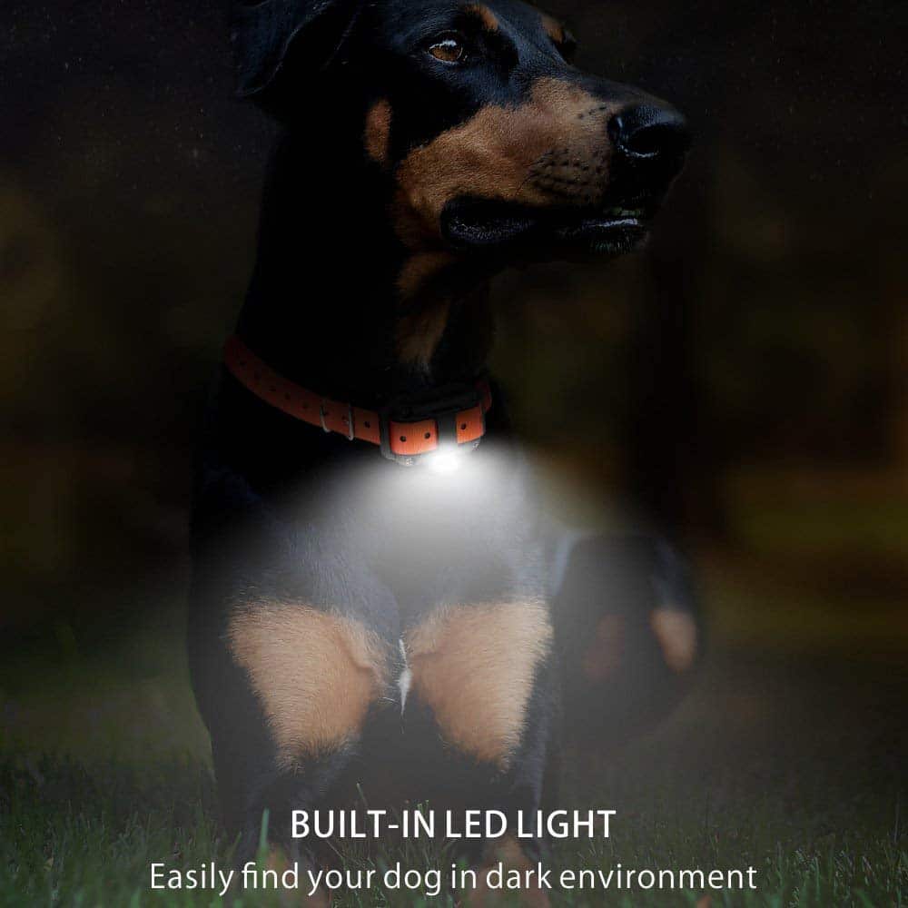 Electric dog training collar 800M Range - alternate angle