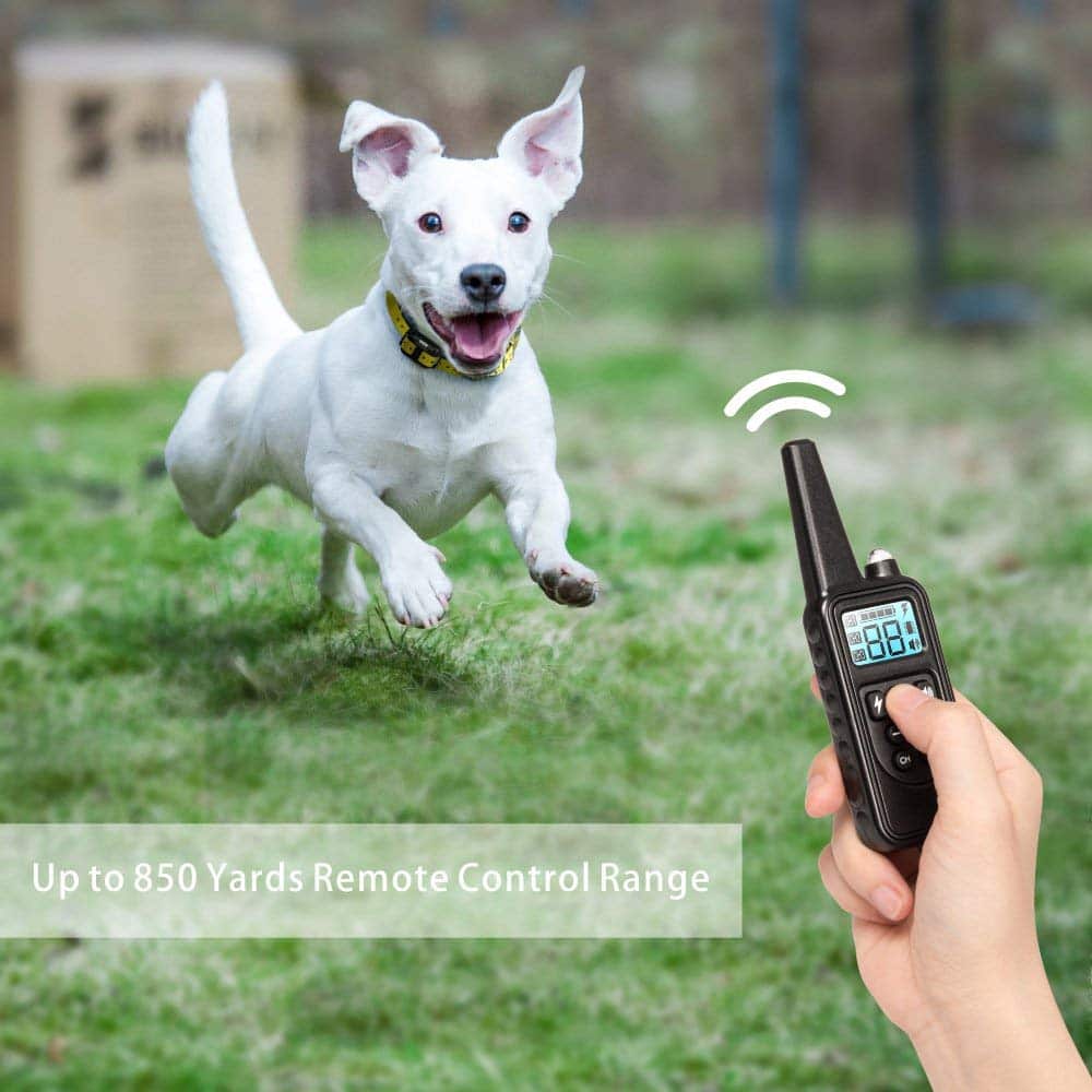 Electric dog training collar 800M Range - detail