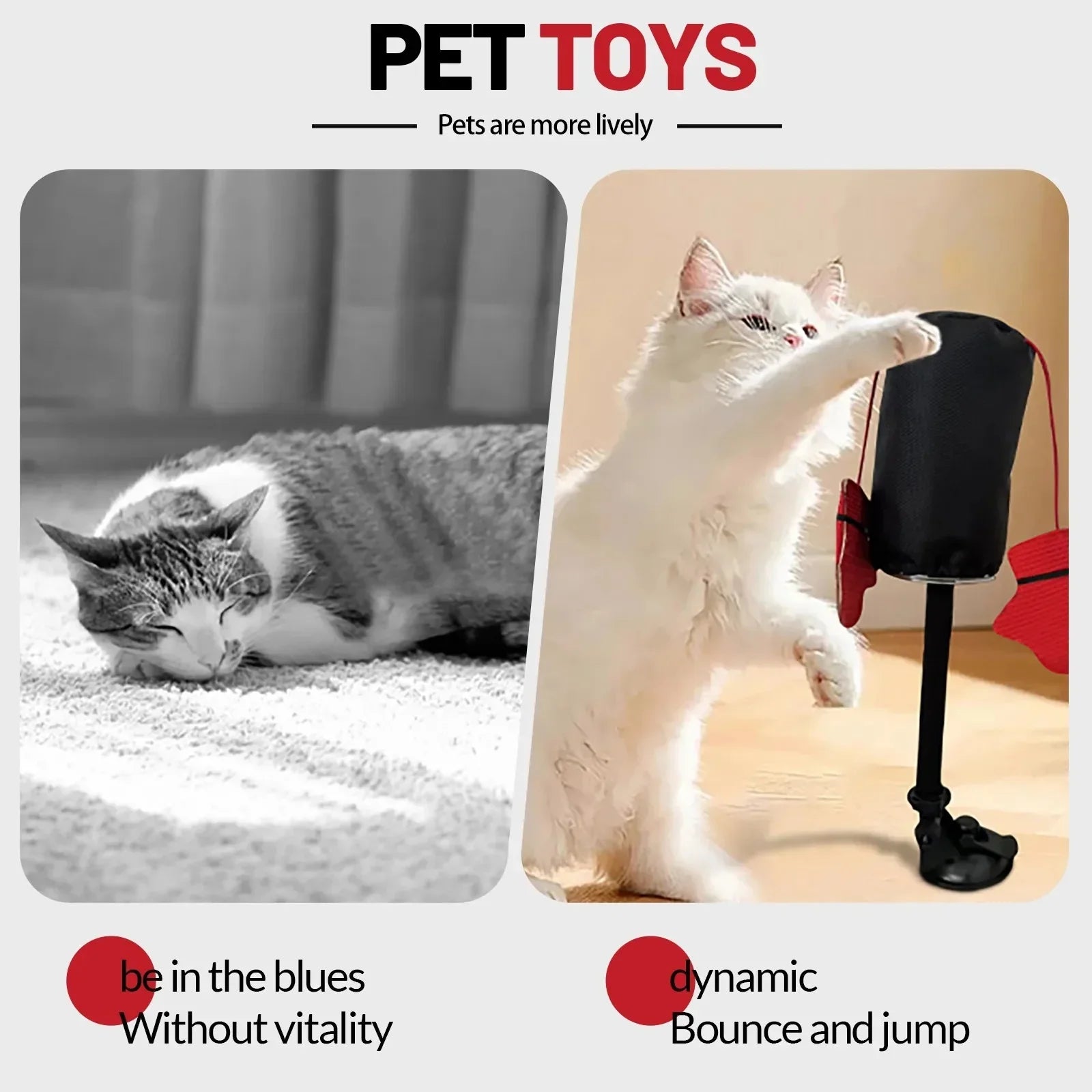 Cat Toys - alternate angle