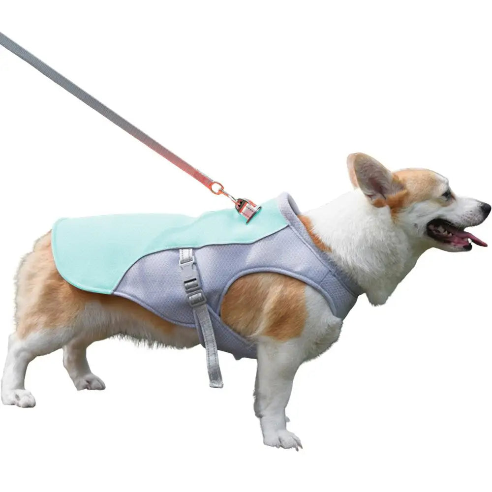 Dog Cooling Vest for Outdoor Activities - detail