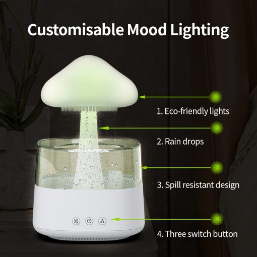 Rain Cloud Humidifier & Essential Oil Zen Diffuser