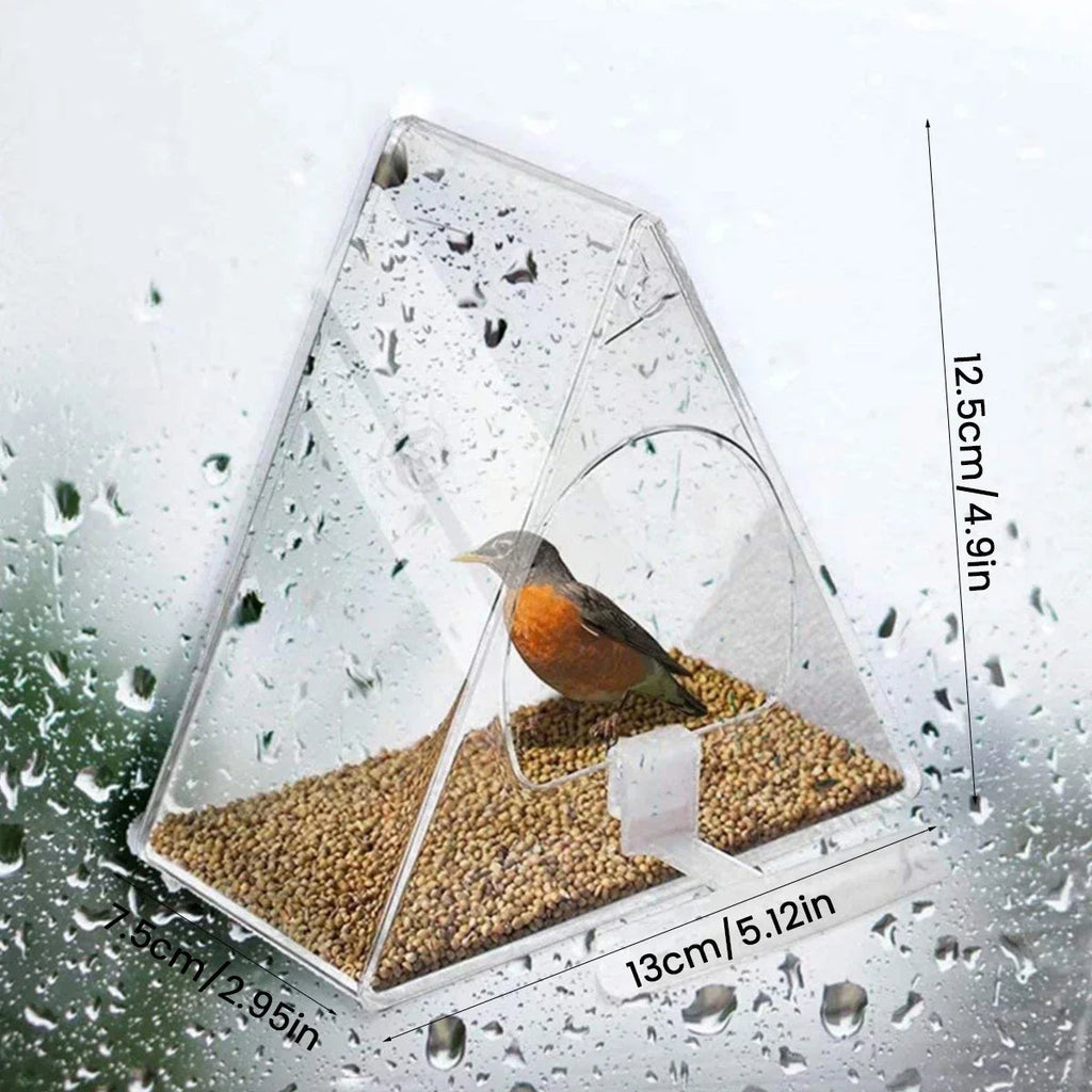 Clear Acrylic Hanging Bird Feeder for Outdoor Garden - in use