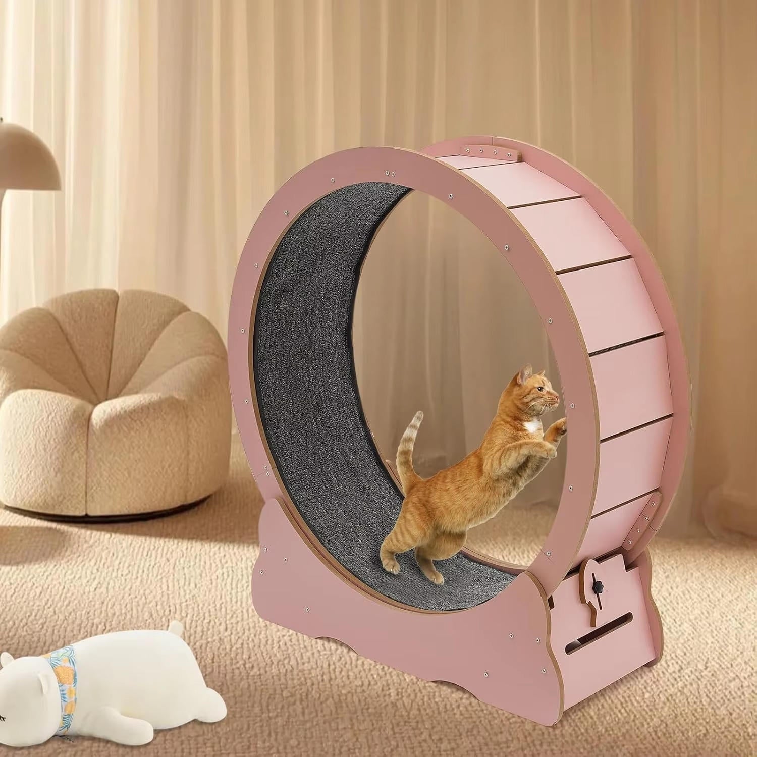 Cat Exercise Wheel - alternate angle