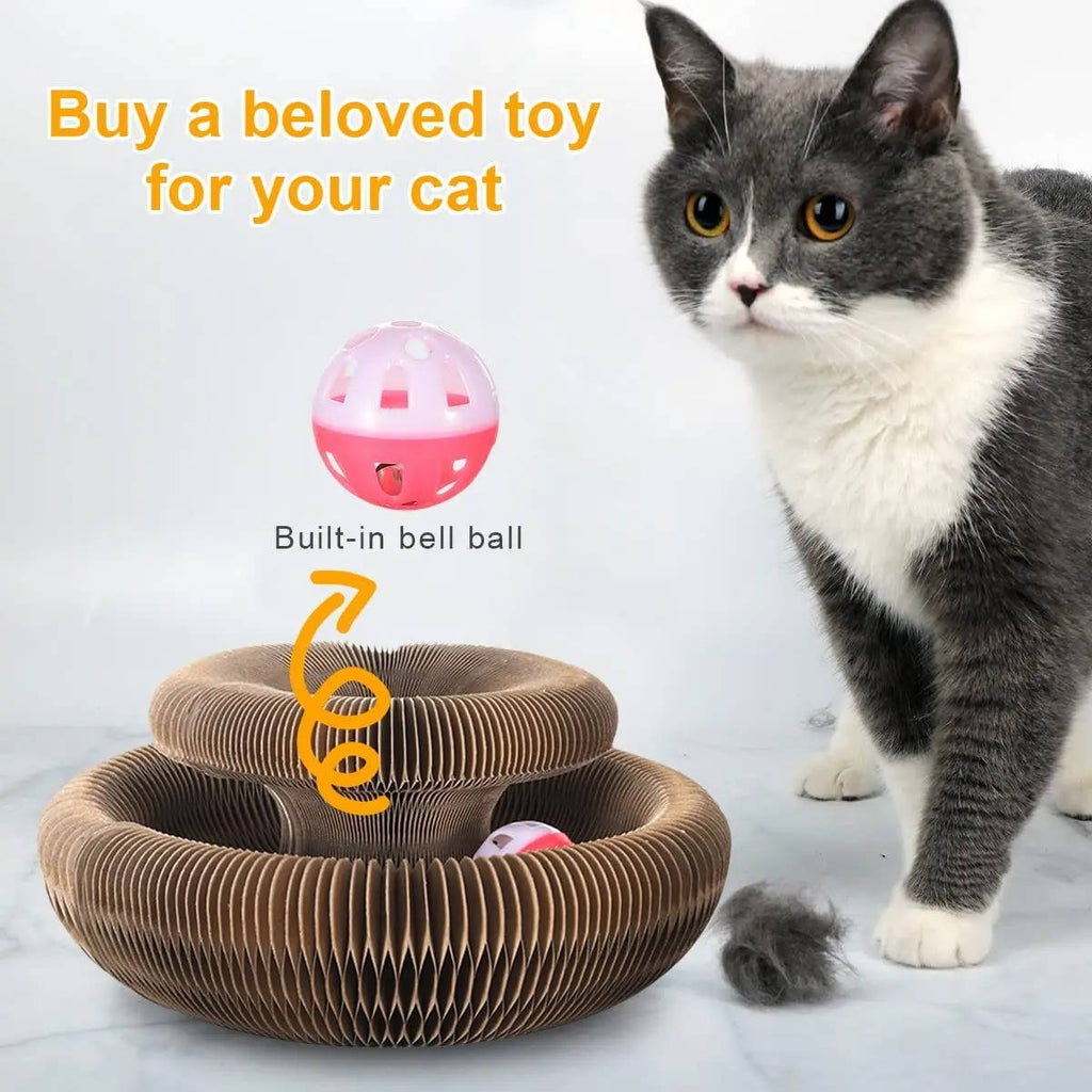 Cat Scratcher with Ball Track - alternate angle