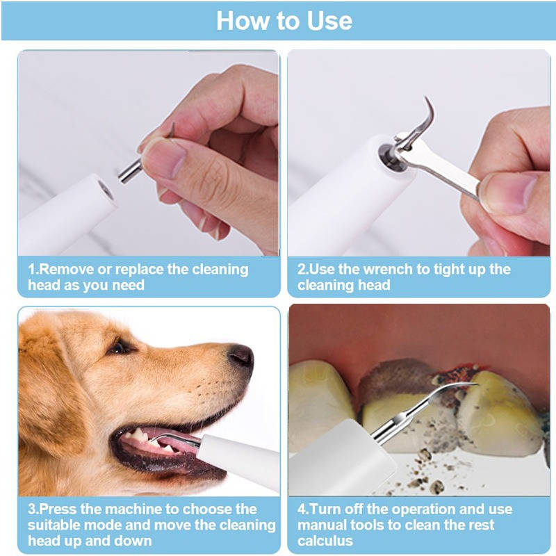 Dog Plaque Tartar Calculus Remover at Home - alternate angle