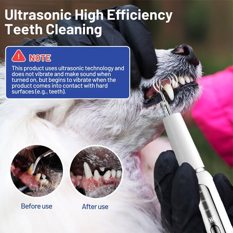Dog Plaque Tartar Calculus Remover at Home - detail