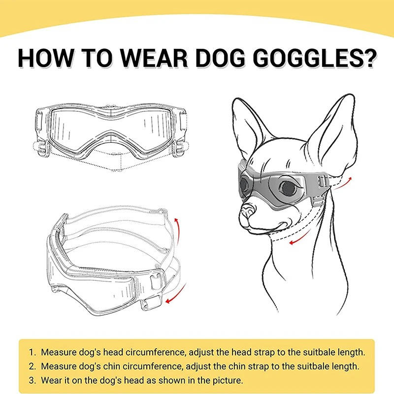 Dog Goggles - detail