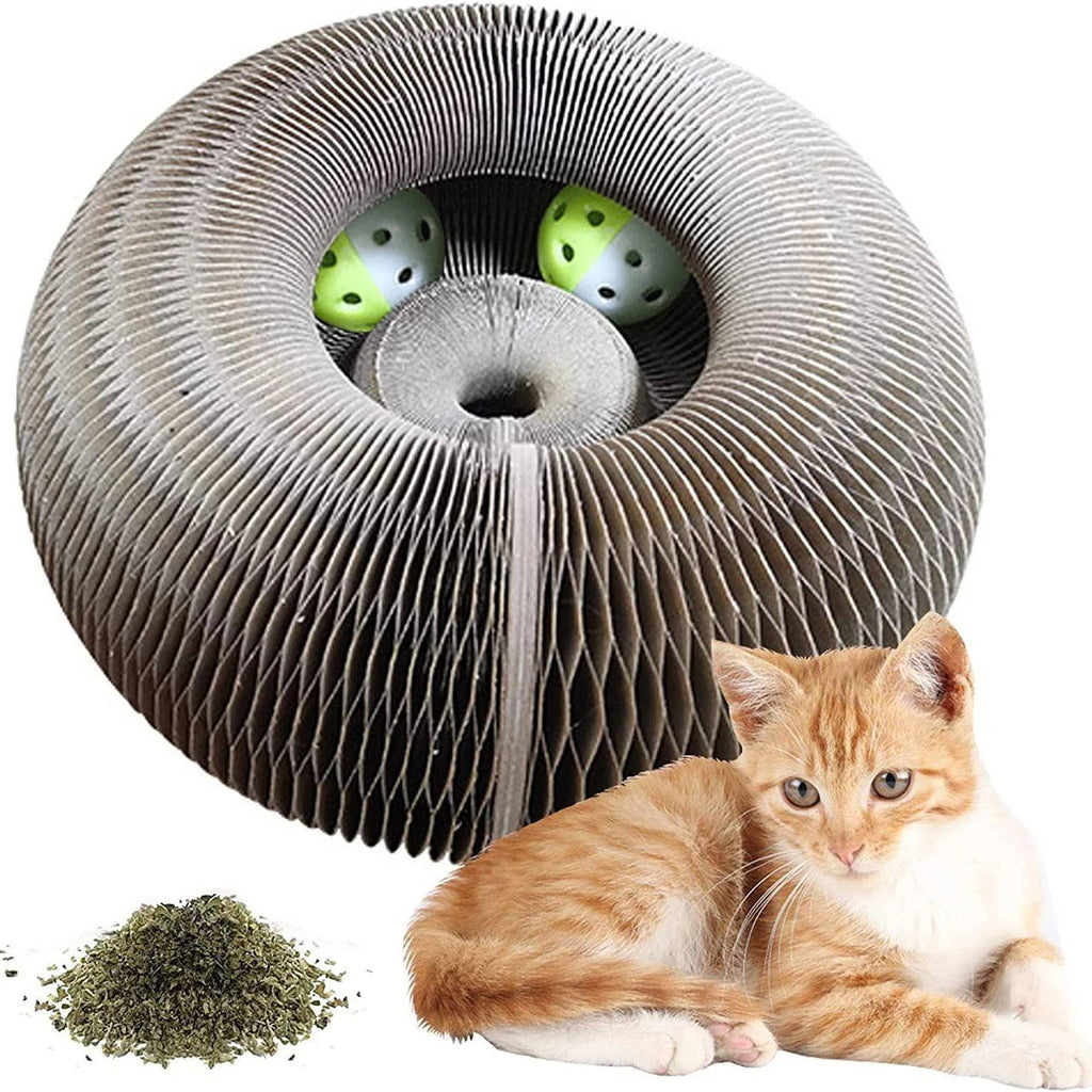 Cat Scratcher with Ball Track - alternate angle