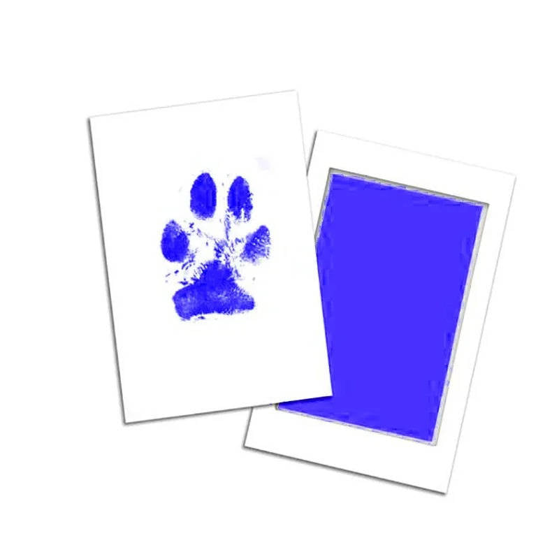 Dog Paw Print Kit - detail