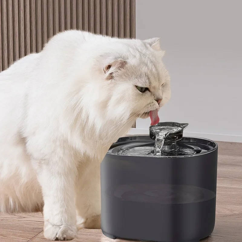 Cat Water Fountain - alternate angle