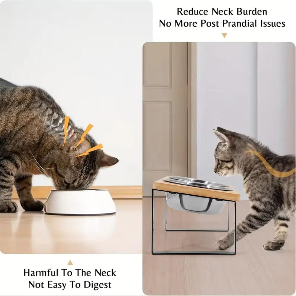 Elevated Cat Bowl - in use