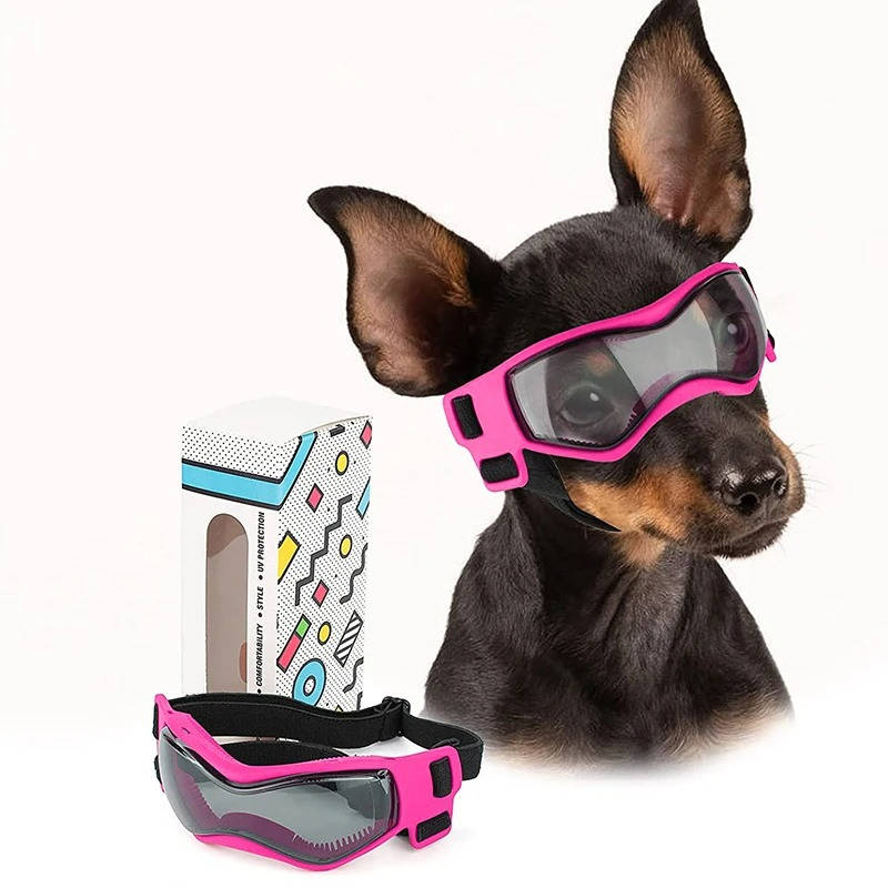 Dog Goggles - detail