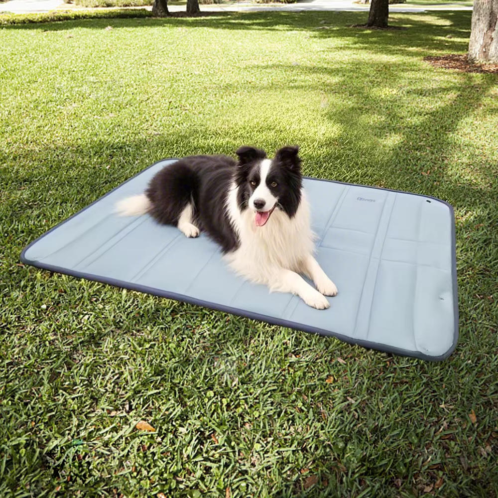 Dog Bag for Travel - detail