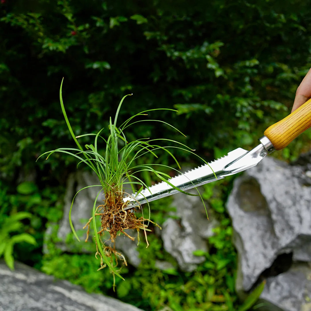 5-in-1 Stainless Steel Garden Weeder & Transplanting Tool with Beech