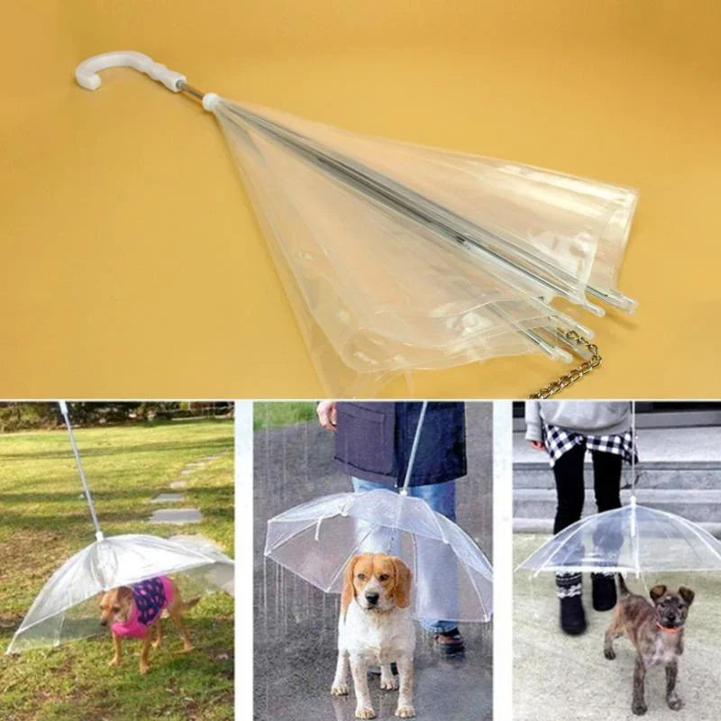 Dog Umbrella with Leash - alternate angle