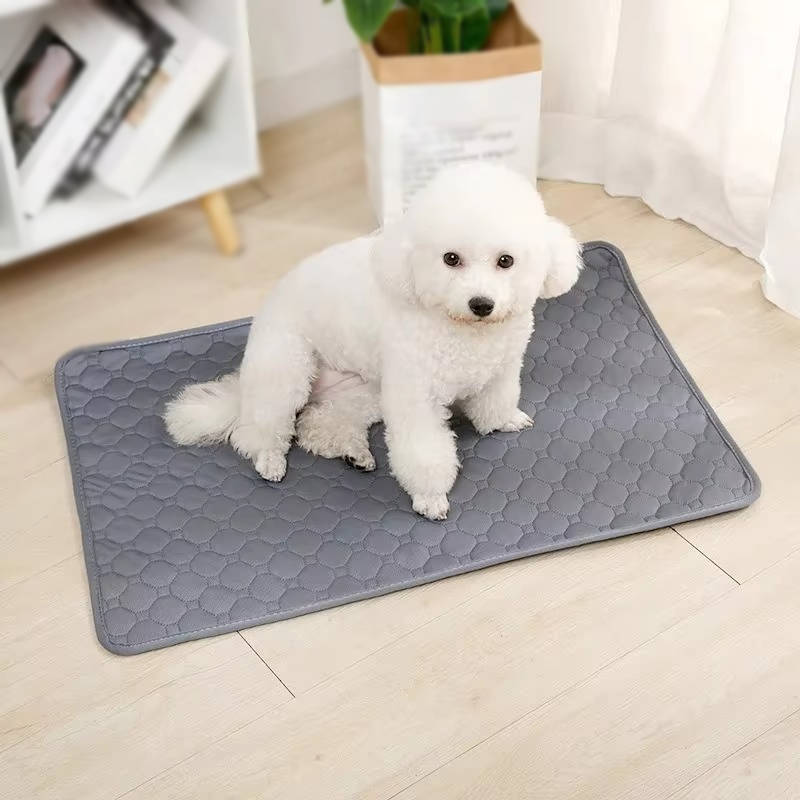 Dog Pee Pads Disposable And Reusable - detail