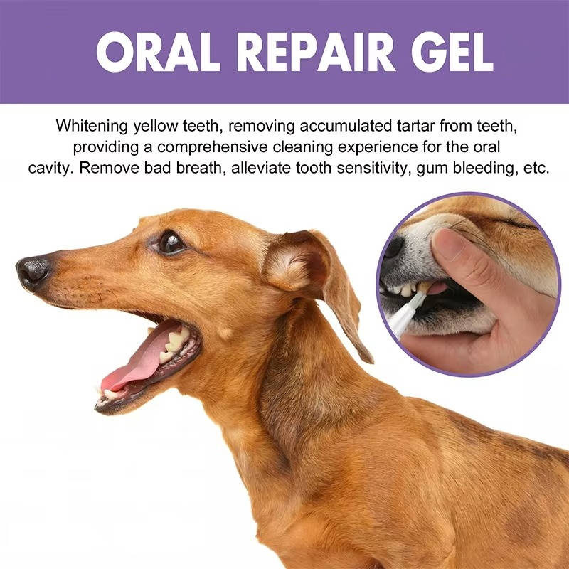 3 Set Dog Oral Repair Gel - detail