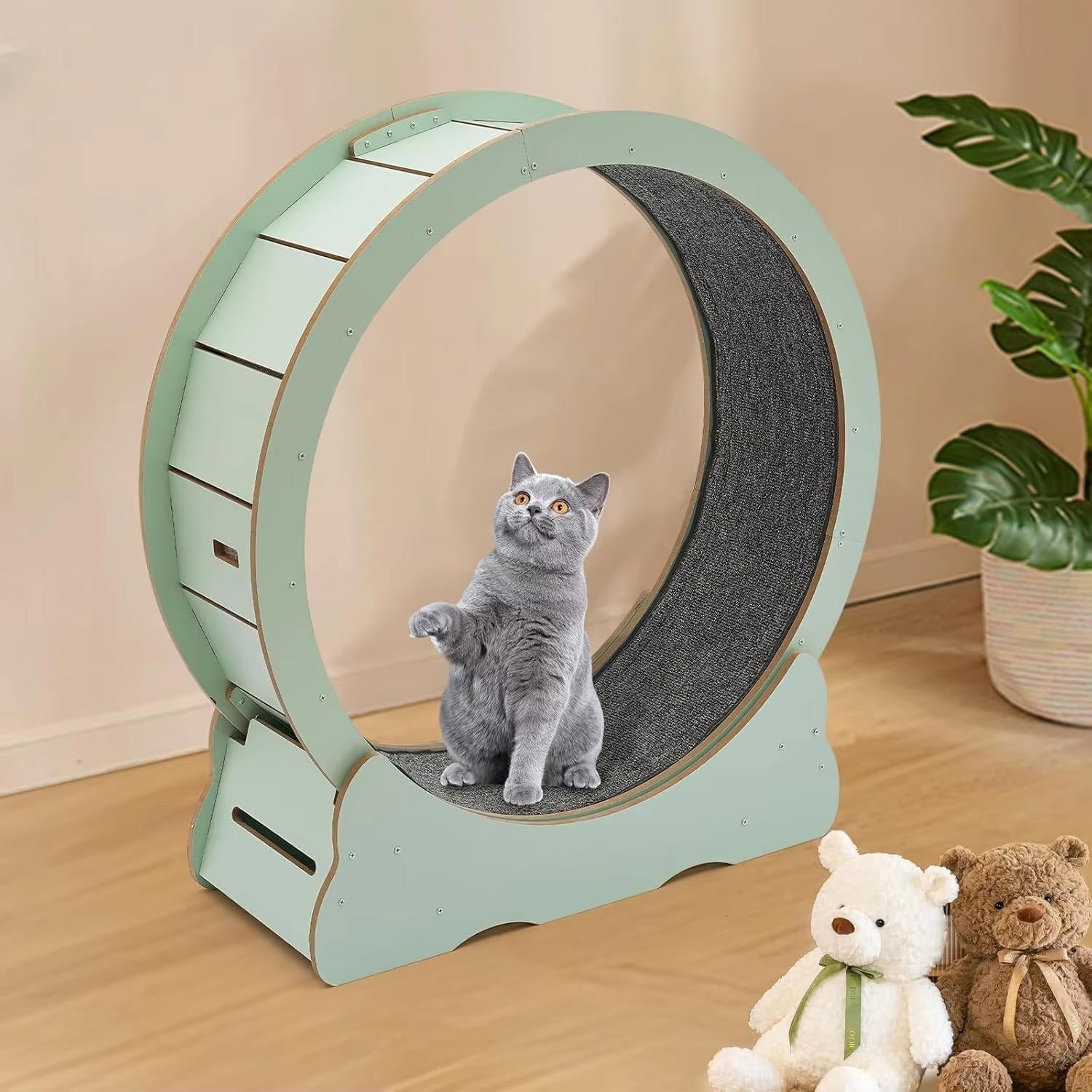 Cat Exercise Wheel - detail