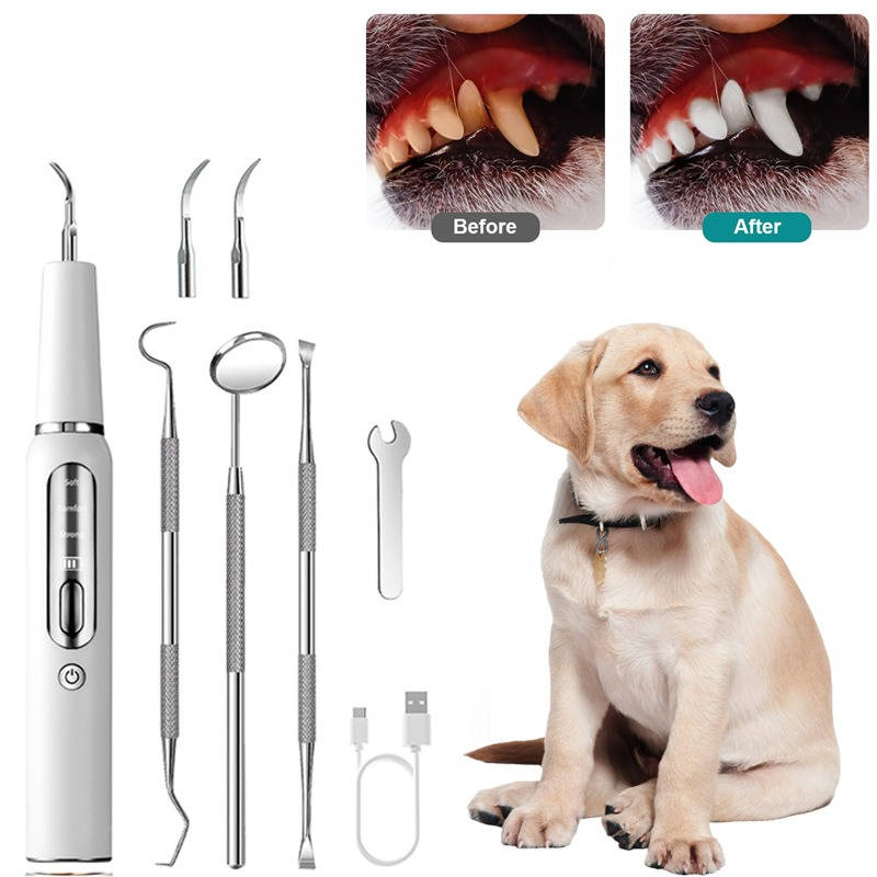 Dog Plaque Tartar Calculus Remover at Home - detail