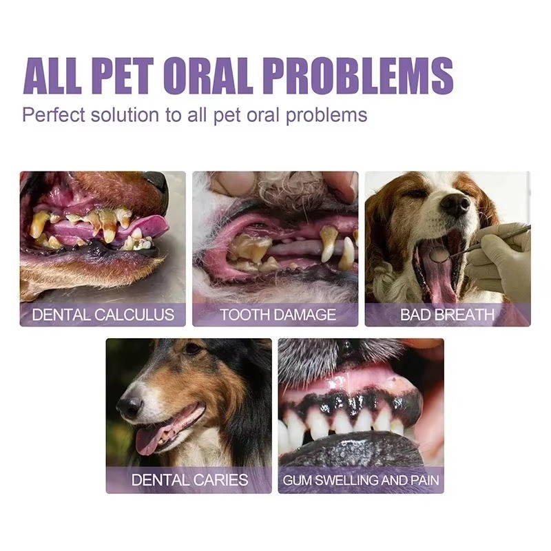 3 Set Dog Oral Repair Gel - alternate angle