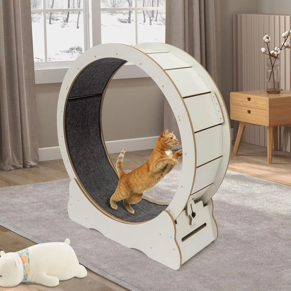 Cat Exercise Wheel - in use
