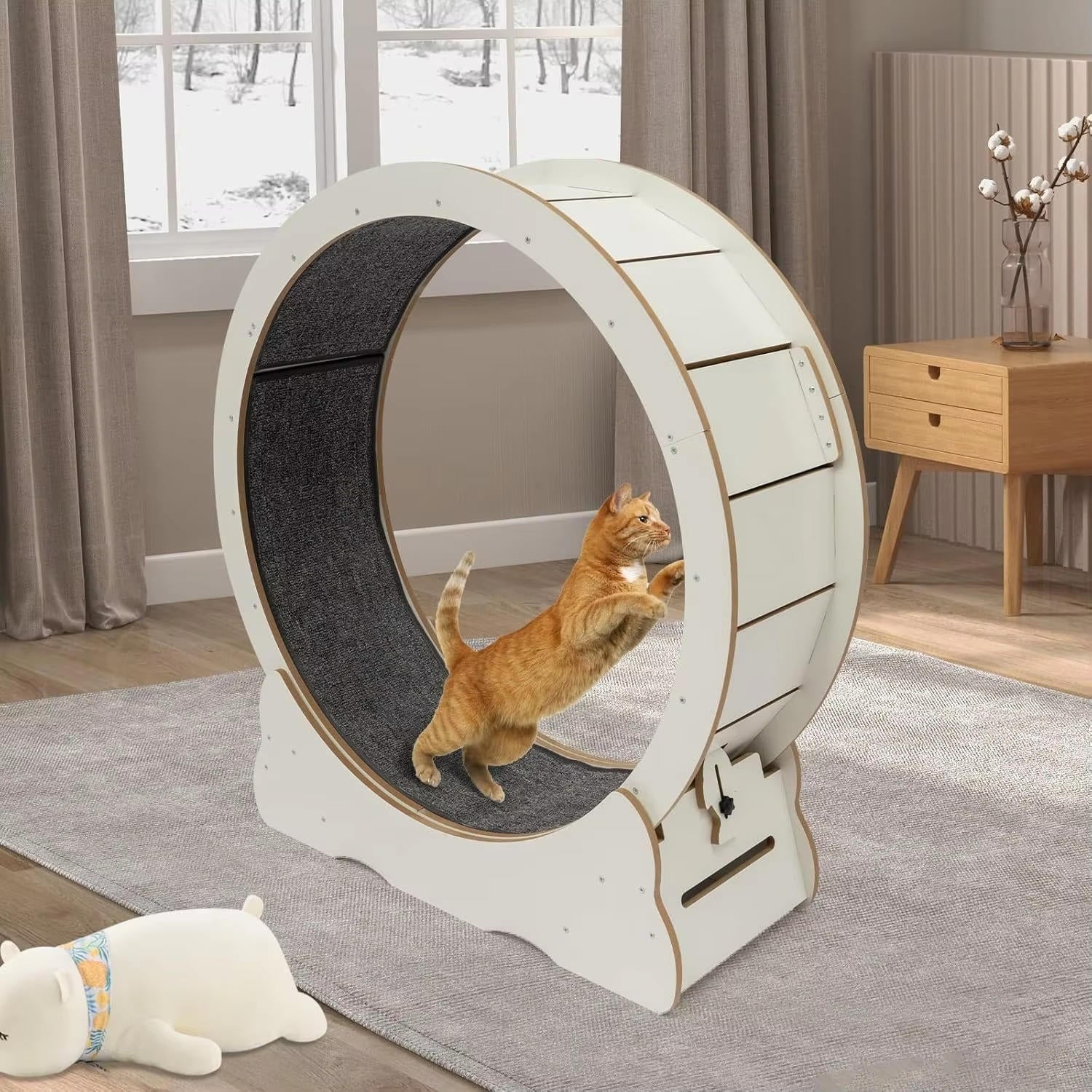 Cat Exercise Wheel - in use
