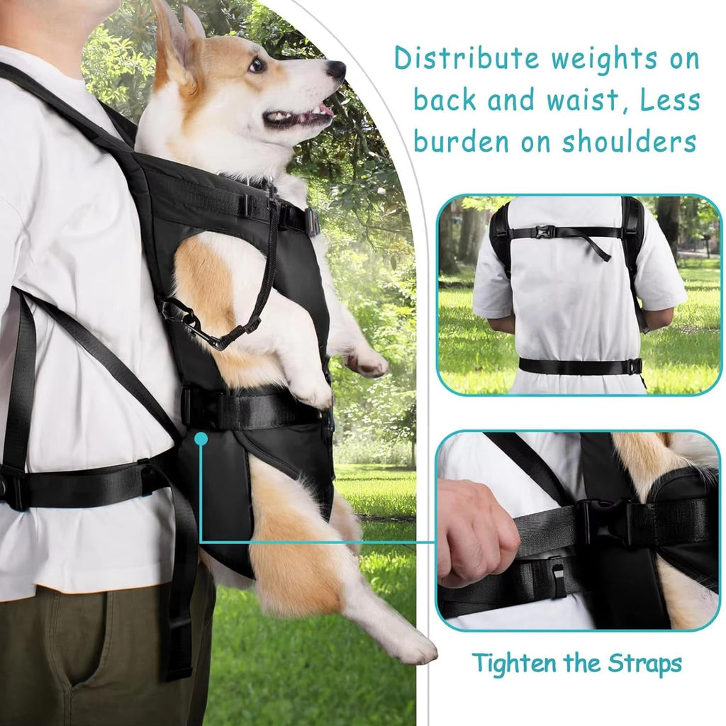 Dog Carrying Backpack - detail