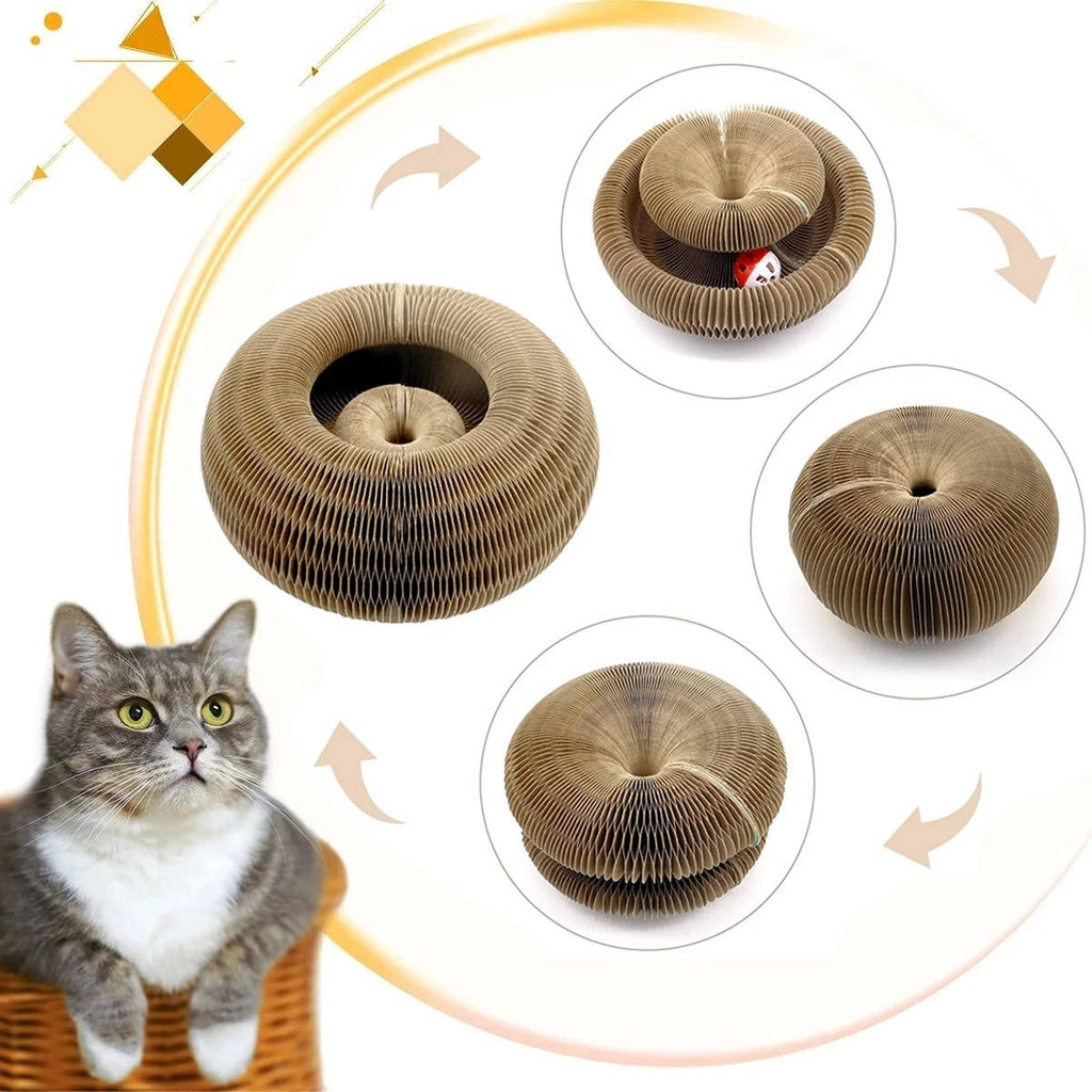 Cat Scratcher with Ball Track - detail