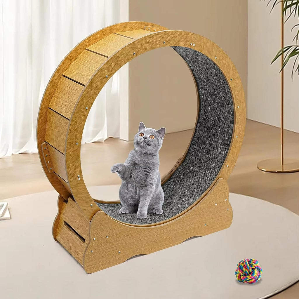 Cat Exercise Wheel - detail