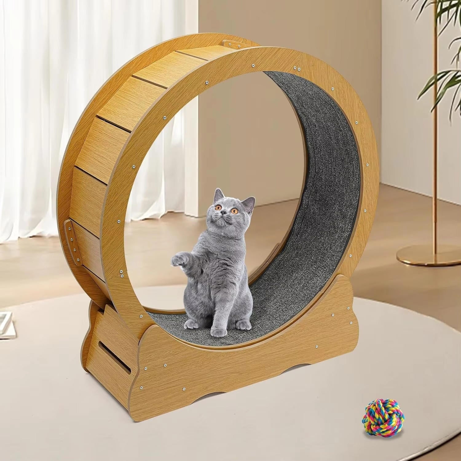 Cat Exercise Wheel - detail