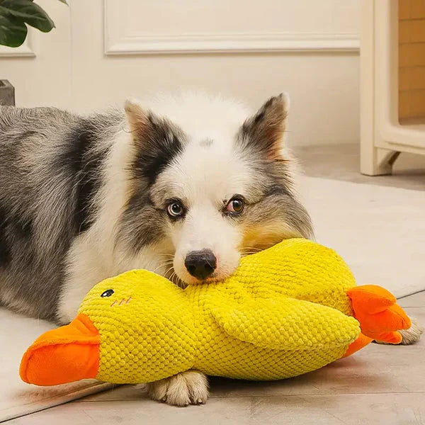 Calming Durable Duck - detail