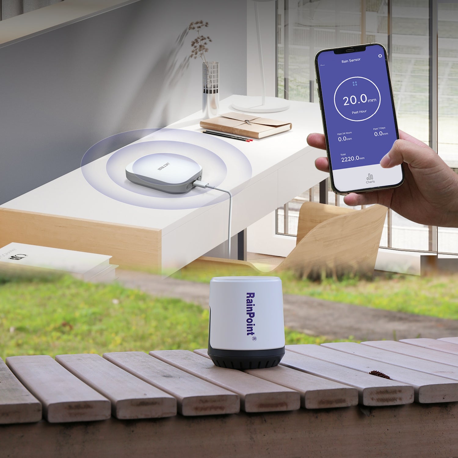 RainPoint Wireless Wi-Fi Digital Rain Gauge, Wireless