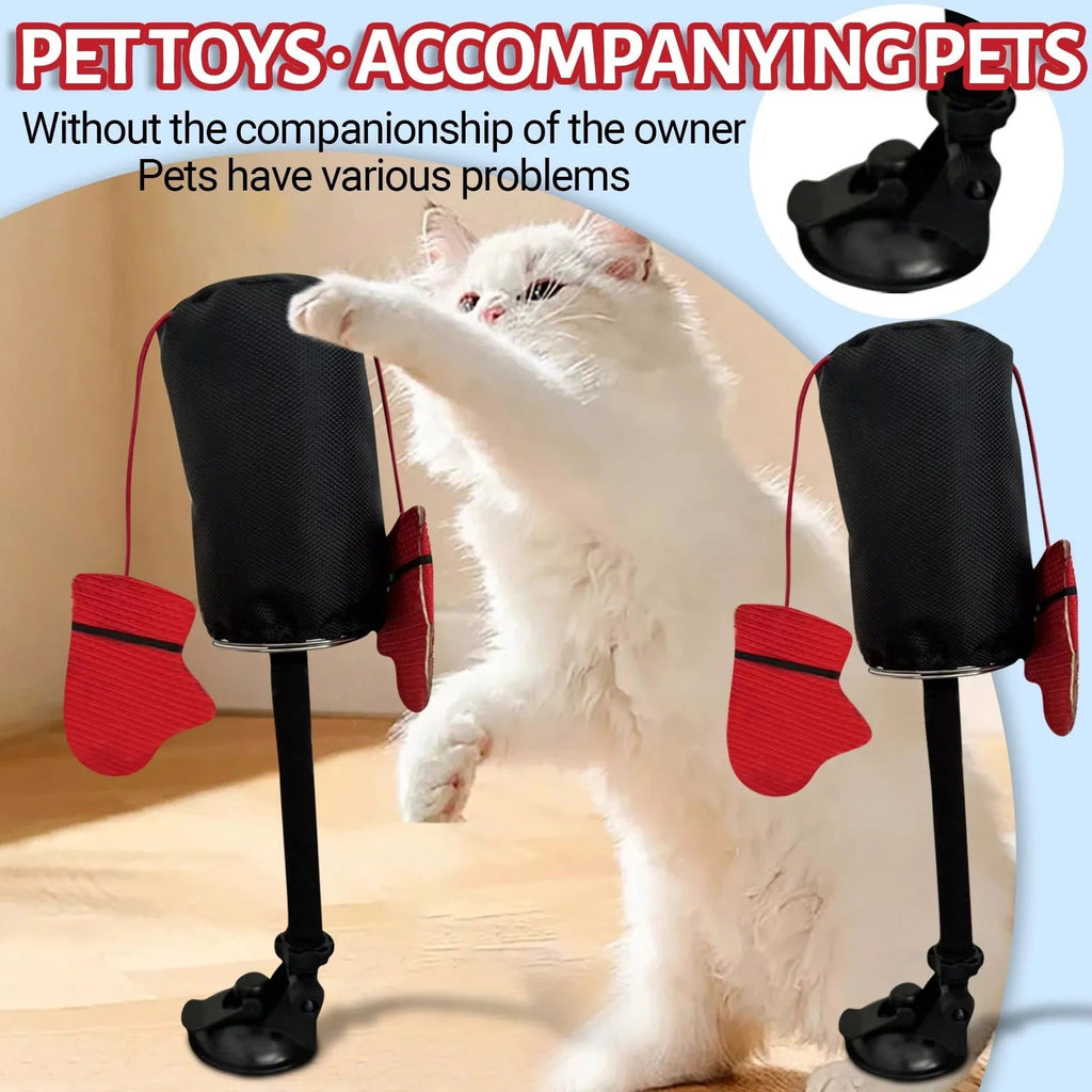Cat Toys - detail