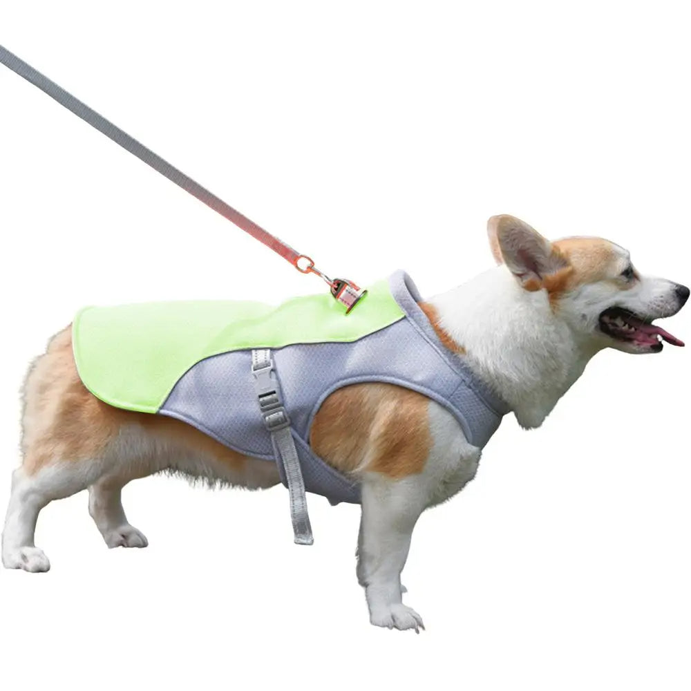 Dog Cooling Vest for Outdoor Activities - alternate angle