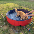 Foldable Dog Pool lifestyle