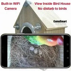 Bird Watching Nesting Feeder Nest Cam Box with Camera - alternate angle