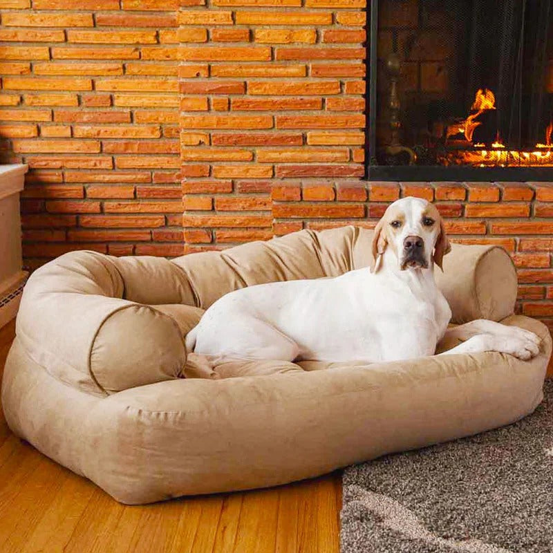 Canapé pour chien avec coussin