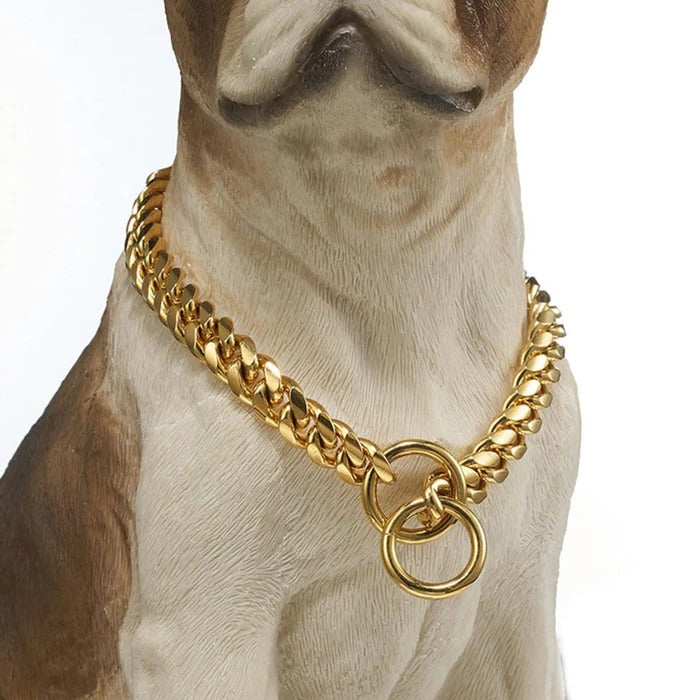 Heavy-Duty Dog Collar - detail