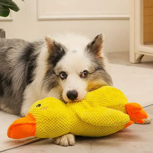 Calming Duck Dog Toy - detail
